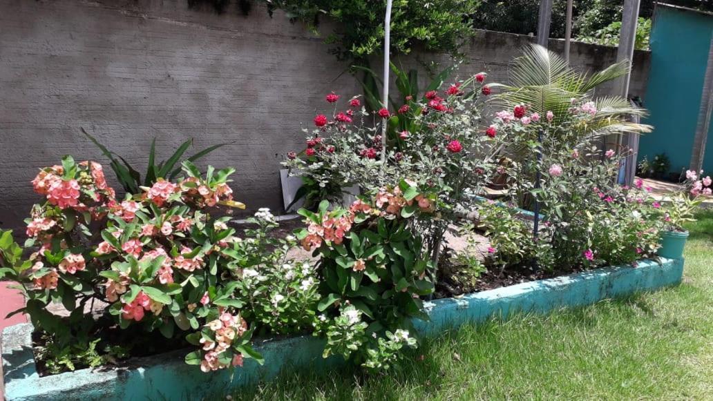 Pousada Tropicaliente Alter do Chao Εξωτερικό φωτογραφία